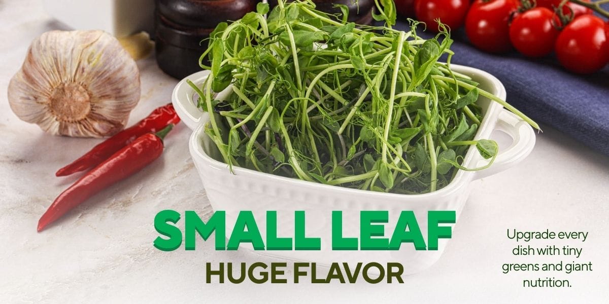 WhatsApp Image 2026-01-14 at 12.19.02 PM