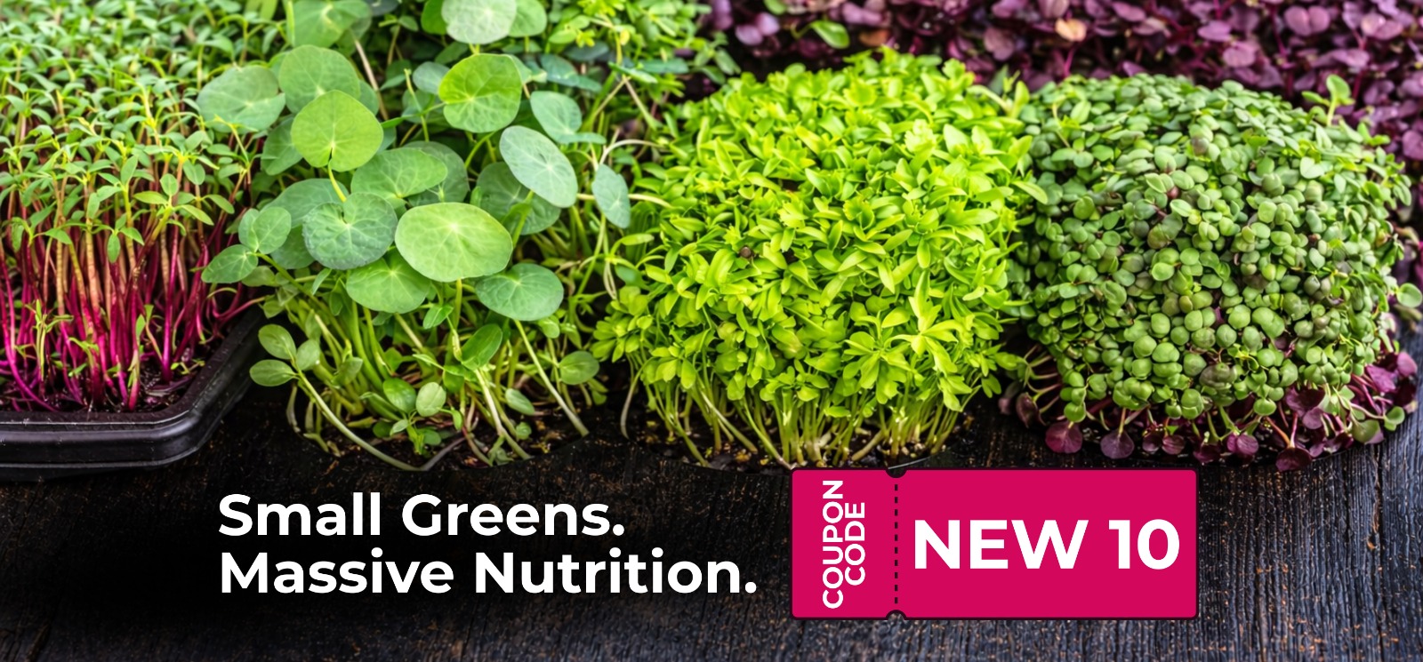 WhatsApp Image 2026-03-21 at 7.32.51 PM