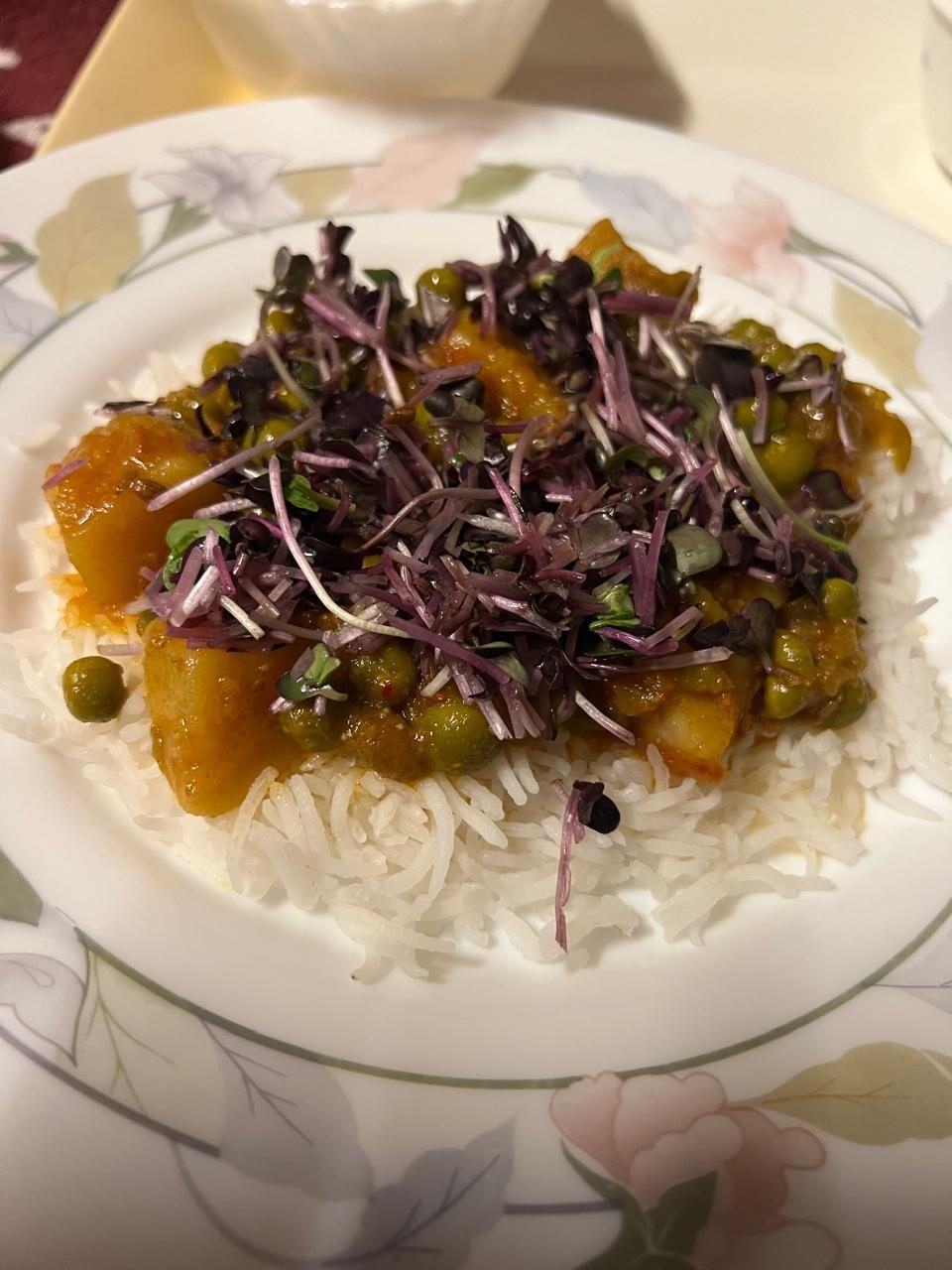 WhatsApp Image 2026-01-22 at 4.37.17 PM (2)