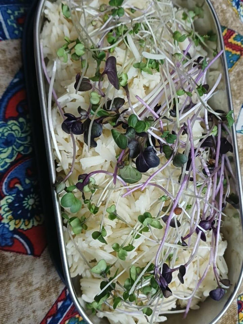 WhatsApp Image 2026-01-22 at 4.37.18 PM (11)