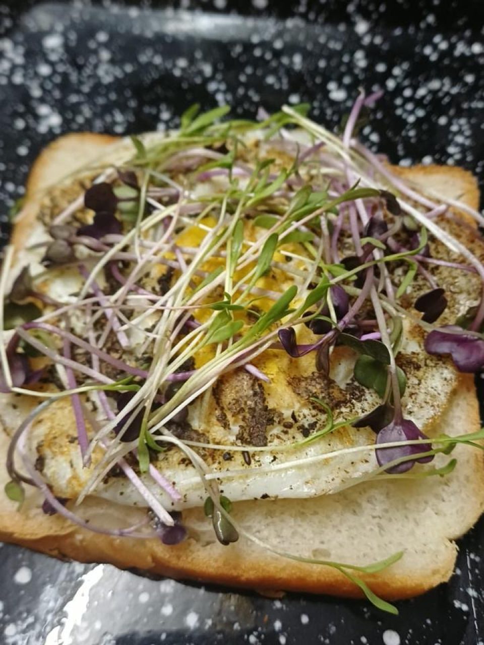 WhatsApp Image 2026-01-22 at 4.37.18 PM (12)